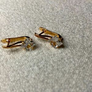 Silvery Cut Drop Earrings